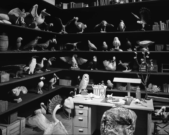 Lori Nix, "Bird Room" (2014)