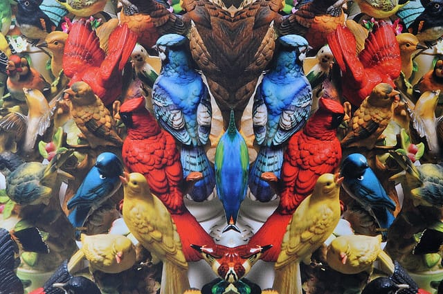 Detail of the bird wallpaper by Nick Cave.