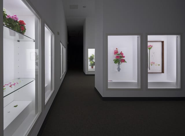 Alberto Baraya, "Expedition Berlín, Herbarium of Artificial Plants" (2013–ongoing), mixed media, Dimensions variable, installation view (image courtesy Alberto Baraya; Galeria Nara Roesler, São Paulo, photo by Anders Sune Berg)