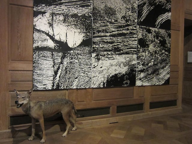 Lin Utzon, "Cosmic Dance" at the Musée de la Chasse et de la Nature in Paris