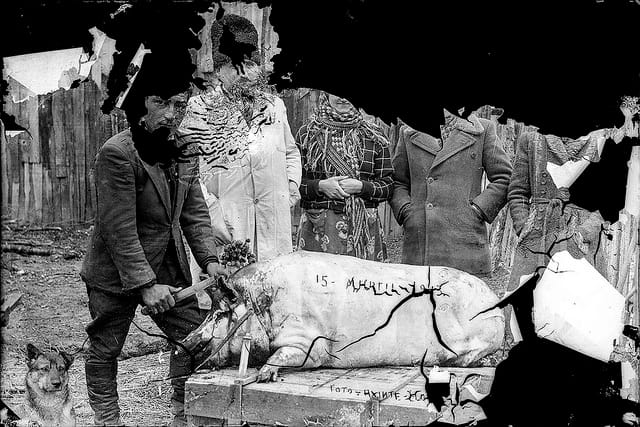 Butchering a pig, March 15, 1943 (via Costică Axinte Archive)