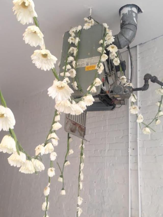 Julia Kennedy and Sojourner Truth Parsons, "Daisy Temple" (2014) (photograph by Julia Kennedy)