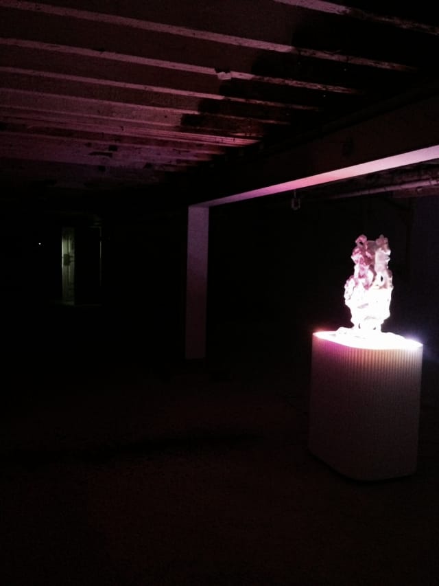 Ben Phelan "Exo Spectral Vector Grating" (2013) (installation view) (photo by author)