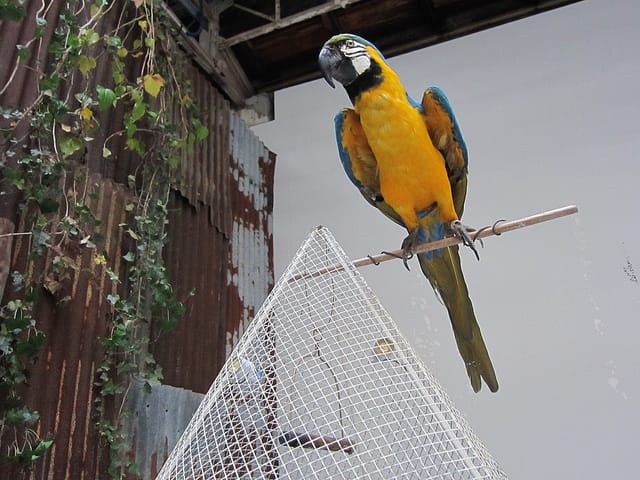 Hiroshi Sugimoto: “Aujourd’hui le monde est mort [Lost Human Genetic Archive]”