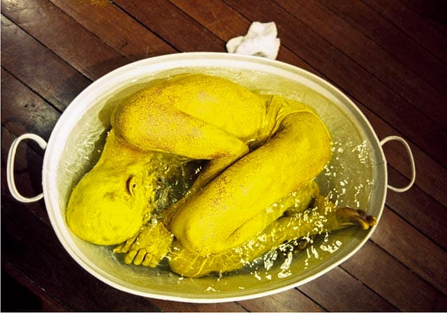 Journey of a Yellow Man No.11: Multi-culturalism, 1997, c Lee Wen