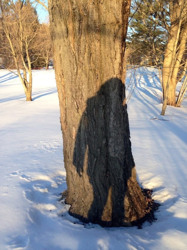 Mira Gerard's shadow selfie