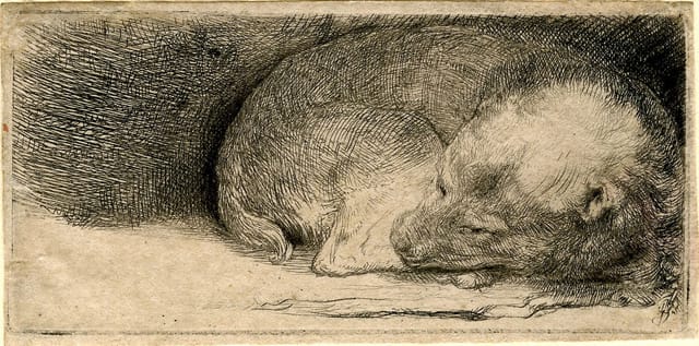 Rembrandt Harmenszoon van Rijn, "Sleeping Puppy" (c. 1640), etching, 39 x 81 mm
