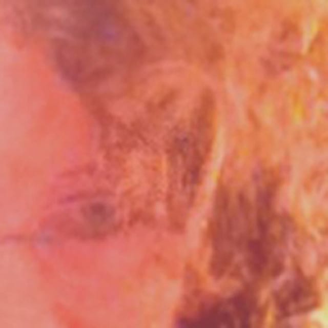 selfie, after seeing James Welling's Sun Pavilion