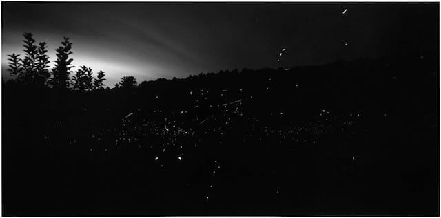 Gregory Crewdson: Fireflies