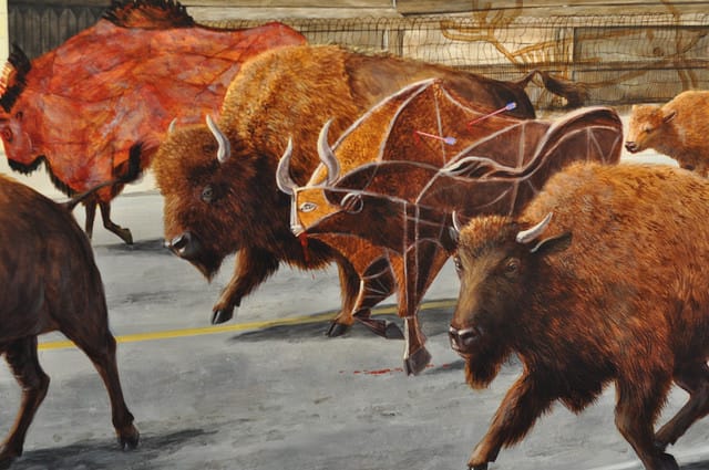 13946770038_4c9993dae8_z