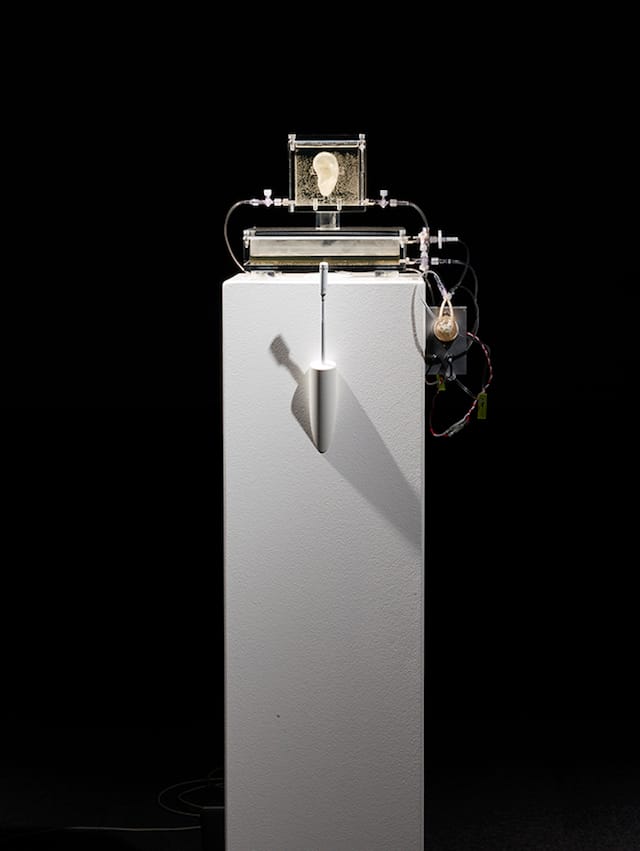 2014_sugababe_diemut-strebe_004