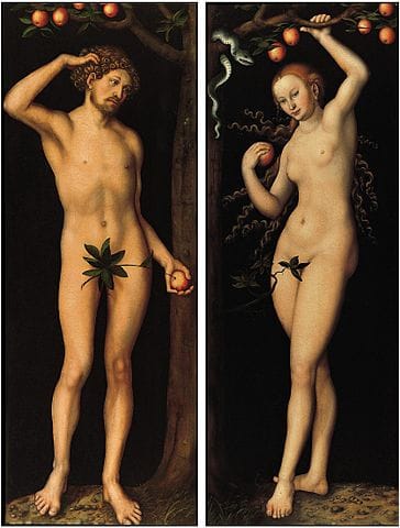 Lucas Cranach the Elder, "Adam" and "Eve" (both 1530), oil on panel (via Norton Simon Museum)