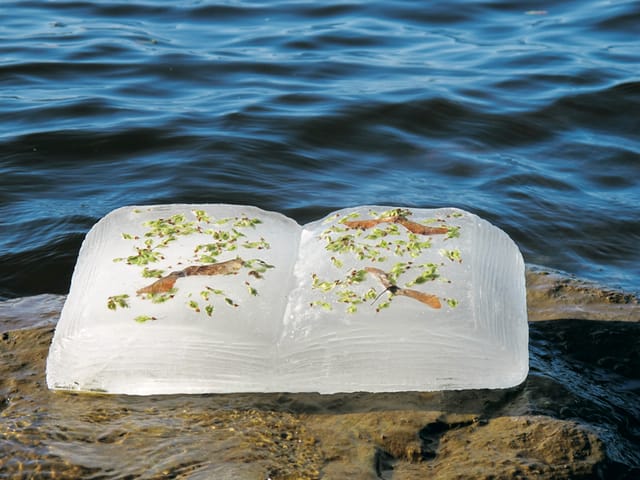 Basia Irland, Ottawa River Book III, 2012. Image credit: Photo Clair Long. Courtesy the artist.