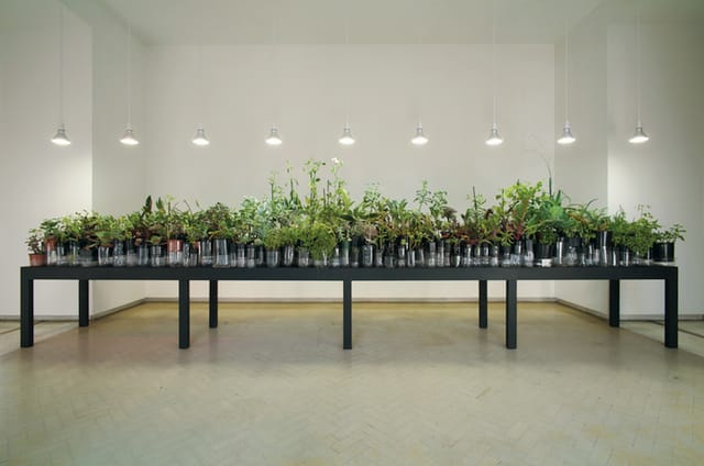 Lauren Berkowitz, Sustenance, 2010. Image credit: Photo Ian Hobbs. Courtesy the artist. © 2010 Lauren Berkowitz. Lauren Berkowitz is represented by Utopian Slumps, Melbourne.