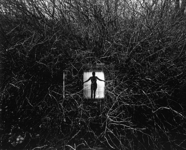 Harry Callahan, Eleanor, 1951, silver gelatin print, Collection of the Vancouver Art Gallery, Gift of The Larry and Cookie Rossy Family Foundation, VAG 2013.36.308 © The Estate of Harry Callahan, Courtesy Pace/MacGill Gallery, New York