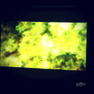 Katherine Hooper, "Lush Alive" (2014)