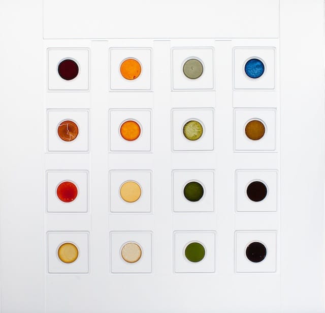Invasive Pigments Color Sampler, 2012-13 plexiglass, deep well slides, plant-derived pigments in gum arabic 14.5 x 14.5