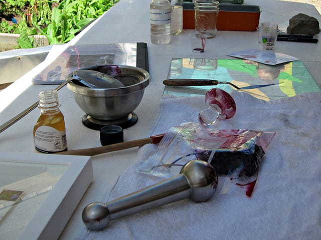 Invasive Pigments Garden at the Center for Strategic Art and Agriculture, Silent Barn