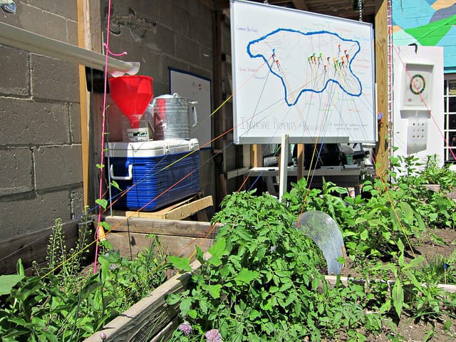 Invasive Pigments Garden at the Center for Strategic Art and Agriculture, Silent Barn