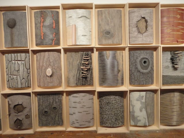 Eric Lindveit, "Sylvan Natural History of New York " (2014)