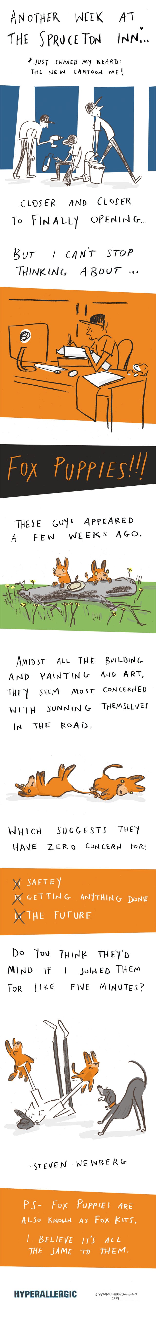 fox-puppies-ps-weinberg