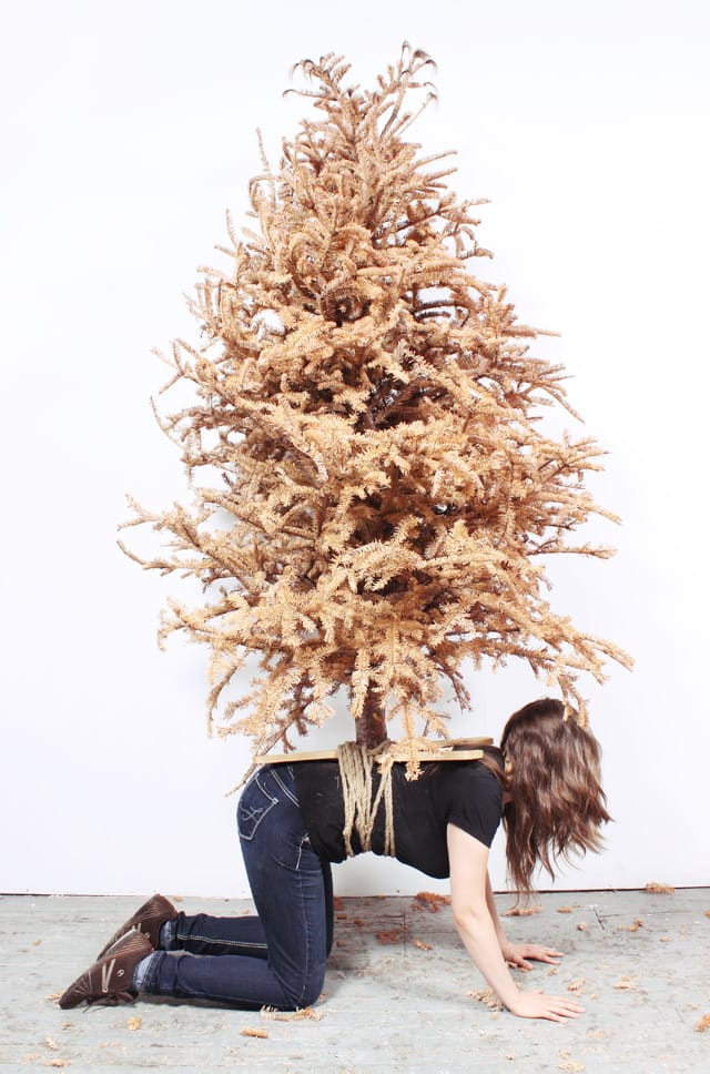 Mary Ivy Martin, "Tree Stand" (2014) (photo courtesy of artists)