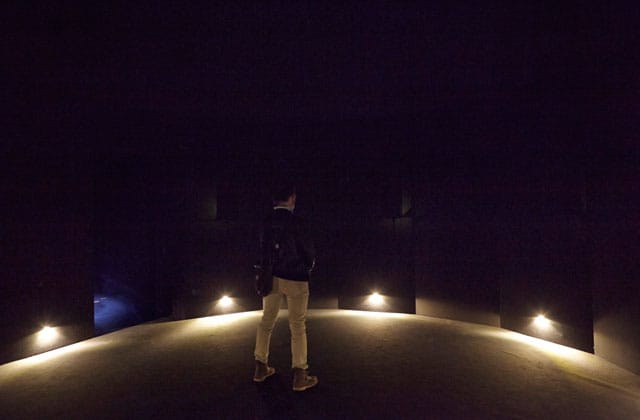 'Robert Cuoghi: Šuillakku Corral' (photo by Benoit Pailley, courtesy New Museum, New York)