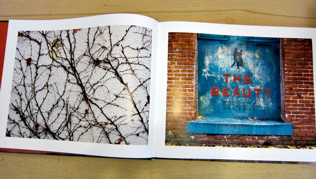 Oxide by Craig Hickman (photograph of the book by the author)