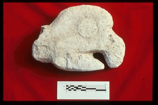 A parrot head sculpture found on the site (Photo by Don Rice) 