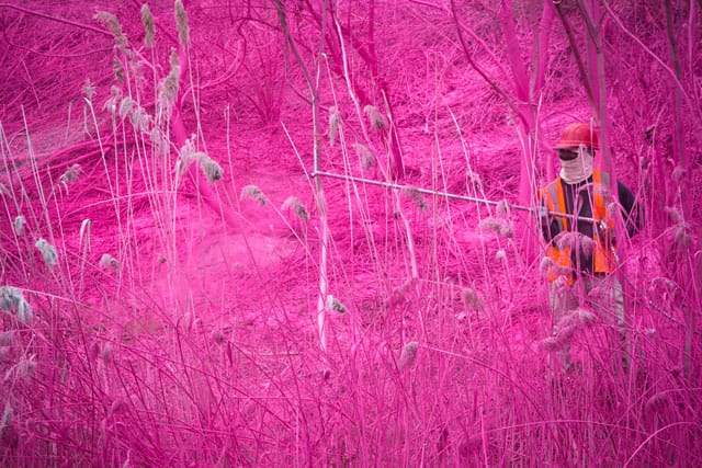 Katharina Grosse, "psychylustro," Drama Wall (photo by Steve Weinik for the City of Philadelphia Mural Arts Program)