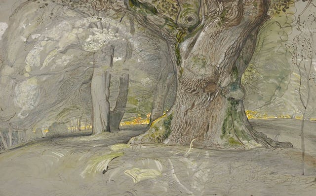 Samuel Palmer (British, 1805–1881) Oak Tree and Beech, Lullingstone Park, c. 1828 Pen and brown ink, graphite, watercolor, opaque watercolor and gum glaze, on gray paper The Morgan Library & Museum, Thaw Collection
