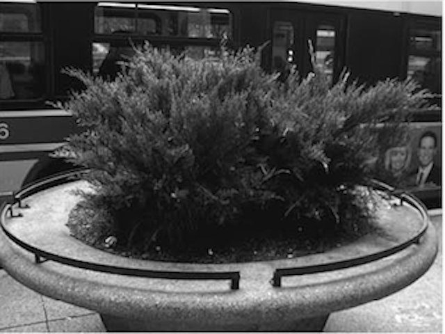 Screen Shot 2014-06-11 at 6.26.25 PM