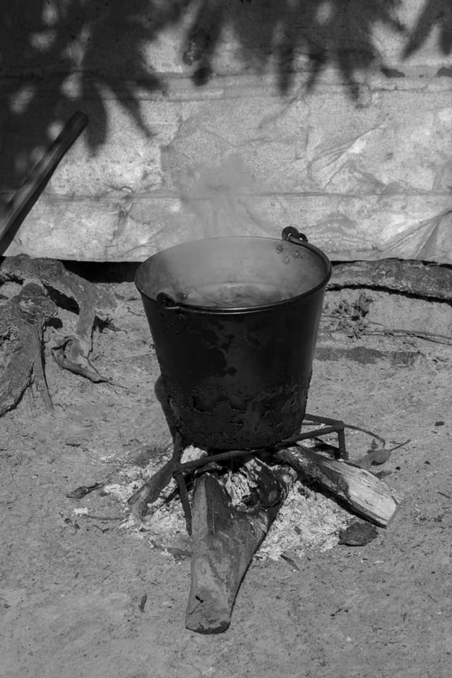 Viviane Sassen, "Vapour" (2014)