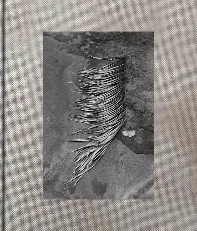 Cover of "Pikin Slee" by Viviane Sassen 