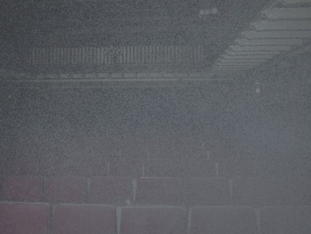 One of Marlon's photos of 