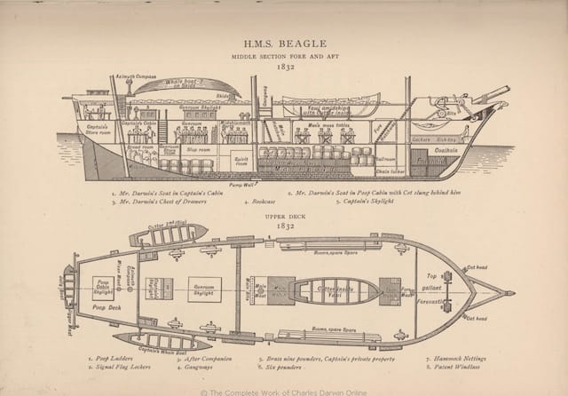 Diagram of the HMS Beagle (1832), with the library at the top right above the "Captain's Store room" (courtesy Complete Work of Charles Darwin Online)