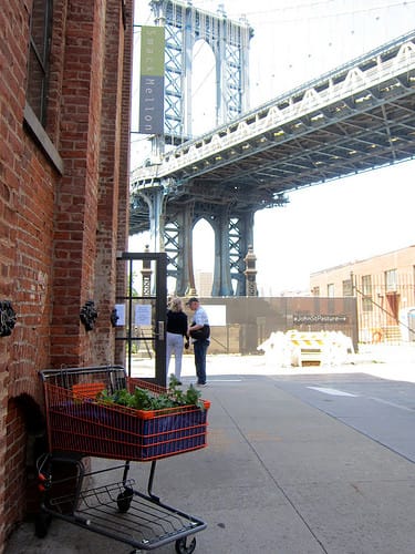 Kristyna and Marek Milde, Á la cart