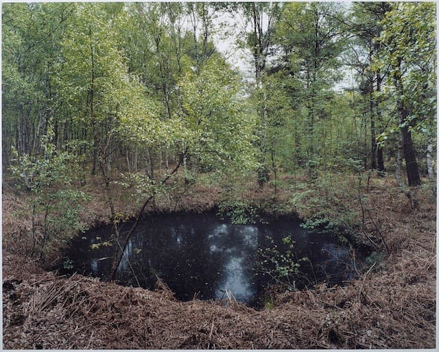 Henning Rogge  #54 (Altwarmbüchener Moor), 2013   Analogue C-print  18 3/16 x 22 inches  Edition 1 of 4