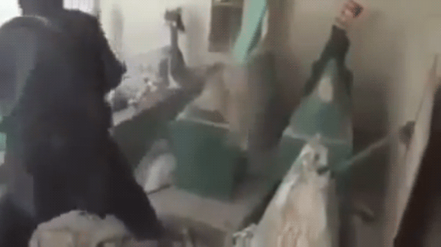 From the unverified video of a member of ISIS desecrating the tombs of the prophet Jonah and others. (GIF Hrag Vartanian/Hyperallergic)