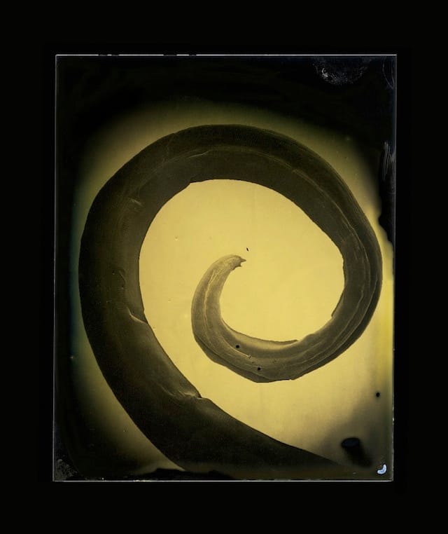Marcus DeSieno, "Ascaris lumbricoides," Archival Pigment Print from Dry Plate Gelatin Ferrotype