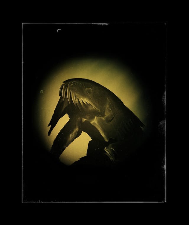 Marcus DeSieno, "Pulex irritans," Archival Pigment Print from Dry Plate Gelatin Ferrotype