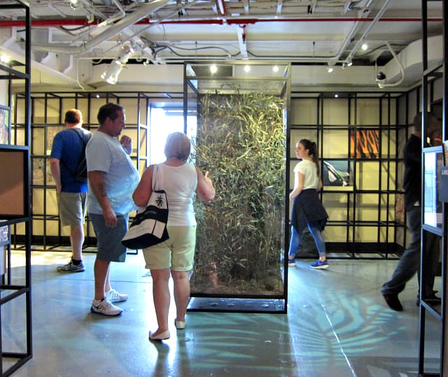 "Masters of Disguise" exhibition on the Intrepid (photograph by the author for Hyperallergic)