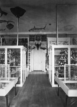 An interior view of the original Jenks Museum (image courtesy of the Jenks Museum) 