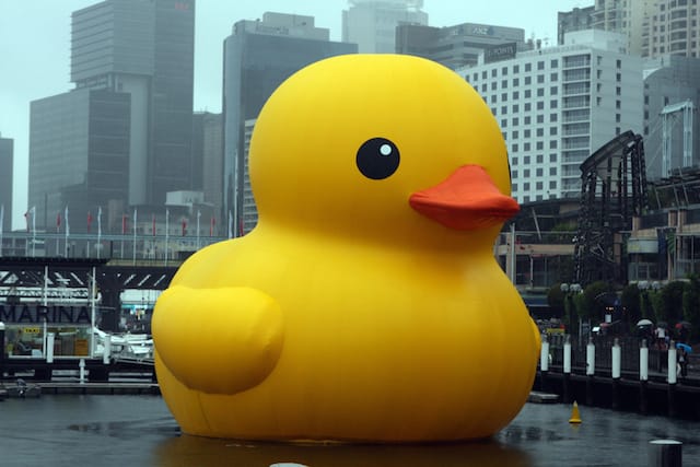 One of Florentijn Hofman's rubber duck sculptures (via Wikipedia)
