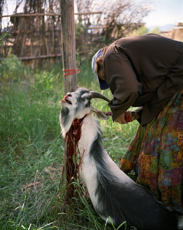 Adrain Chesser, "dispatched," Lost River, Idaho