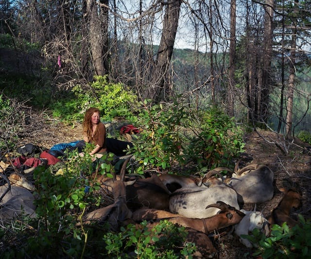 Adrain Chesser, "morning," Marble Mountain Wilderness, California