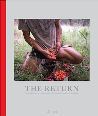 Cover of "The Return"
