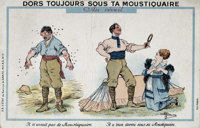 The benefit of sleeping under a mosquito net. Chromolithograph by A. Guillaume. 