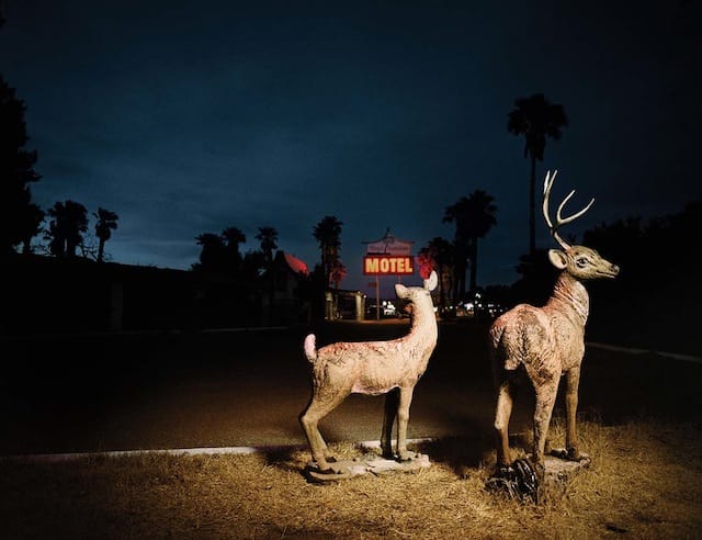 Pamela Littky, "Lawn Deer, Baker, California"