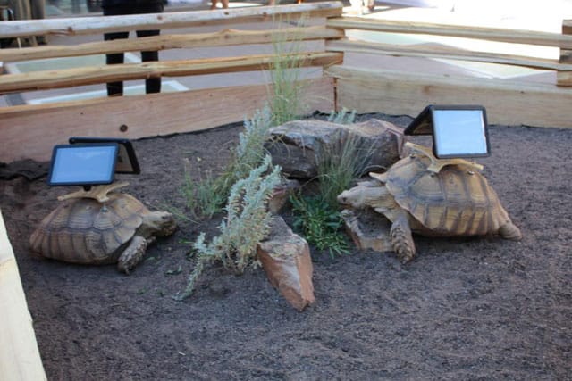 Cai Guo-Qiang, "Moving Ghost Town" (2014) (via caiguoqiang.com)